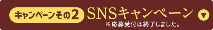 キャンペーンその2 SNSキャンペーン ※応募受付は終了しました。